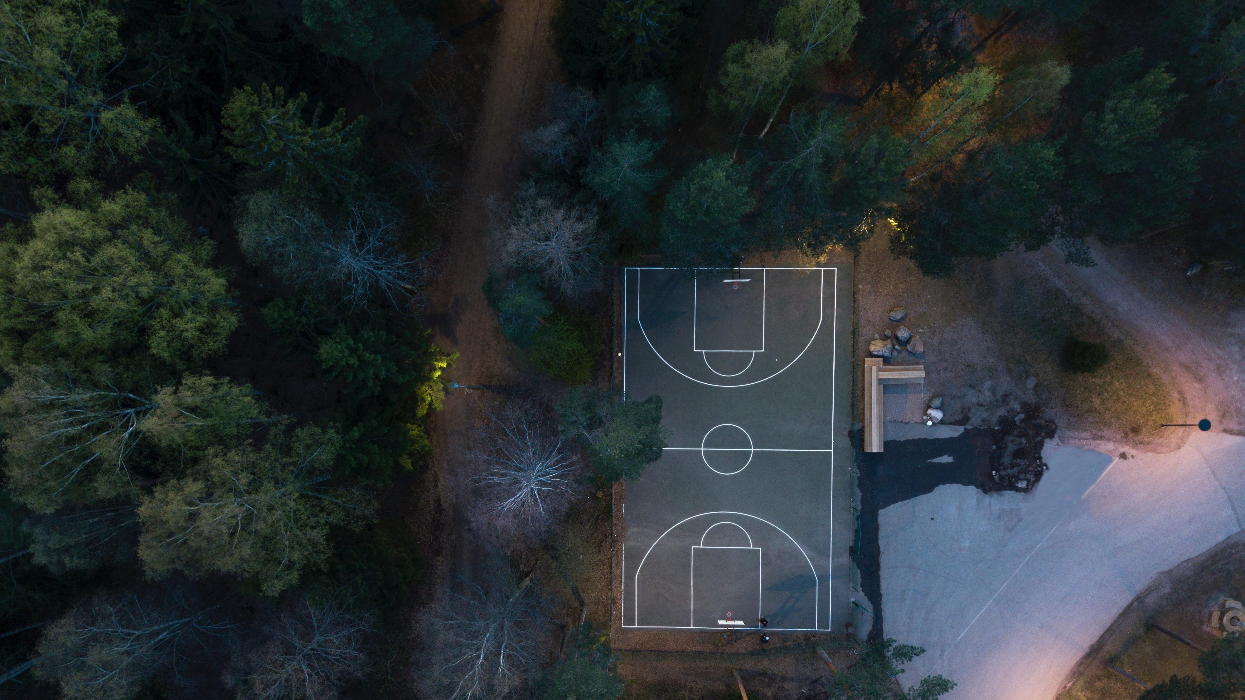 Basketball Court in the Woods